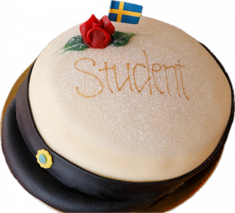 Bild på STUDENT MÖSSA
